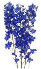 Delphinium - Belladonna from Boulevard Florist Wholesale Market