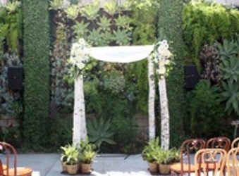 Rental - Birch Poles  from Boulevard Florist Wholesale Market