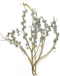 Eucalyptus - Silver Bell from Boulevard Florist Wholesale Market