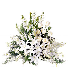 Light In Your Honor from Boulevard Florist Wholesale Market