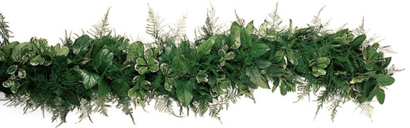 Garland Fresh Salal, Pittosporum & Plumosa from Boulevard Florist Wholesale Market