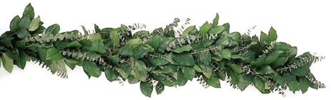 Garland Fresh Salal & Eucalyptus from Boulevard Florist Wholesale Market