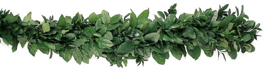 Garland Fresh Salal & Ruscus from Boulevard Florist Wholesale Market