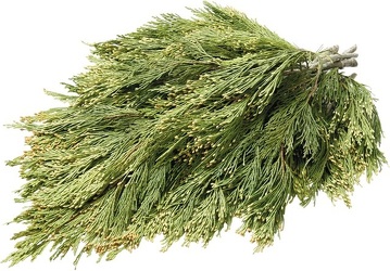 Cedar Incense from Boulevard Florist Wholesale Market