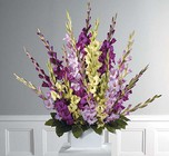 Traditional Gladiolus Fan Spray from Boulevard Florist Wholesale Market