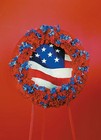 Red and Blue Patriotic Wreath from Boulevard Florist Wholesale Market