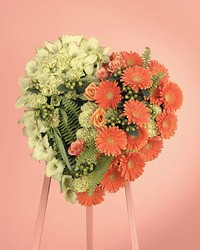 Orange & Green Heart from Boulevard Florist Wholesale Market