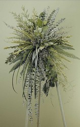 Green Foliage Spray from Boulevard Florist Wholesale Market