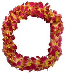 Lei - Dendrobium Orchid - Triple Bombay Dyed Yellow from Boulevard Florist Wholesale Market