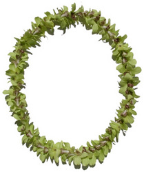 Lei - Dendrobium Orchid - Single Jade Green from Boulevard Florist Wholesale Market