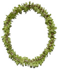 Lei - Dendrobium Orchid - Single Jade Green from Boulevard Florist Wholesale Market