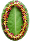 Lei - Single Bombay Dyed Yellow - Dendrobium Orchid  from Boulevard Florist Wholesale Market
