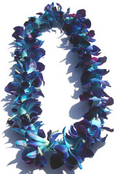 Lei - Dendrobium Orchid - Single Bombay Dyed Blue from Boulevard Florist Wholesale Market