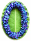 Lei - Dendrobium Orchid - Triple Bombay Dyed Blue from Boulevard Florist Wholesale Market