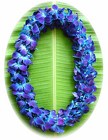Lei - Double Bombay Dyed Blue - Dendrobium Orchid  from Boulevard Florist Wholesale Market