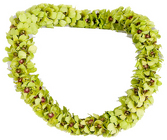 Lei - Double Jade Green - Dendrobium Orchid  from Boulevard Florist Wholesale Market