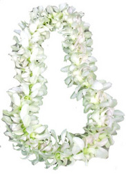 Lei - Dendrobium Orchid - Double White from Boulevard Florist Wholesale Market