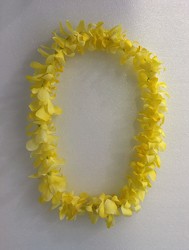 Lei - Dendrobium Orchid - Single White Dyed Yellow from Boulevard Florist Wholesale Market