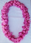 Lei - Double White Dyed Pink - Dendrobium Orchid  from Boulevard Florist Wholesale Market