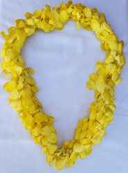 Lei - Dendrobium Orchid - Triple White Dyed Yellow from Boulevard Florist Wholesale Market