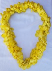 Lei - Double White Dyed Yellow - Dendrobium Orchid  from Boulevard Florist Wholesale Market