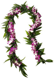 Lei - Deluxe Meile STYLE  - Bombay from Boulevard Florist Wholesale Market