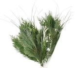 Winter Greens Mix Bouquet from Boulevard Florist Wholesale Market