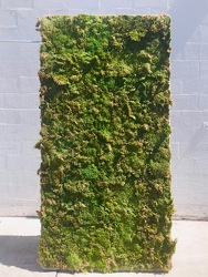 Rental - Moss Wall Panel from Boulevard Florist Wholesale Market