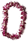Lei - Single Bombay - Dendrobium Orchid  from Boulevard Florist Wholesale Market
