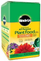 Plant Food from Boulevard Florist Wholesale Market