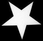 Styrofoam - Eastern Star from Boulevard Florist Wholesale Market