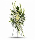 Magnificent Life Spray from Boulevard Florist Wholesale Market