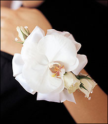 White Orchid and Roses Wristlet from Boulevard Florist Wholesale Market