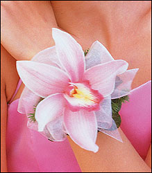 Pink Orchid Wristlet from Boulevard Florist Wholesale Market