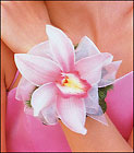 Pink Orchid Wristlet from Boulevard Florist Wholesale Market