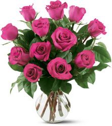 12 Hot Pink Roses from Boulevard Florist Wholesale Market