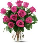 12 Hot Pink Roses from Boulevard Florist Wholesale Market