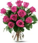 12 Hot Pink Roses from Boulevard Florist Wholesale Market