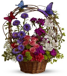 Basket of Butterflies from Boulevard Florist Wholesale Market