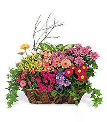 Deluxe European Garden Basket from Boulevard Florist Wholesale Market