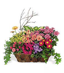 Boulevard Florist :: Wholesale Florist and Flowers in Los Angeles