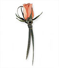 Peach Promise Boutonniere from Boulevard Florist Wholesale Market