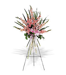 Sentimental Gladioli Spray from Boulevard Florist Wholesale Market