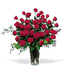 Three Dozen Red Roses from Boulevard Florist Wholesale Market