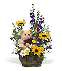 New Baby Basket & Bear from Boulevard Florist Wholesale Market