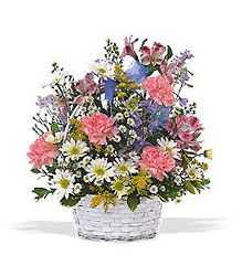 New Baby Jubilee from Boulevard Florist Wholesale Market