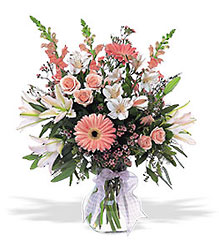 New Baby Girl Arrangement from Boulevard Florist Wholesale Market