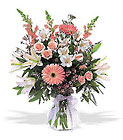 New Baby Girl Arrangement from Boulevard Florist Wholesale Market