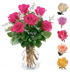 Upgraded Half Dozen (6) COLOR Roses (50-60cm) from Boulevard Florist Wholesale Market