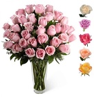 Three Dozen (36) COLOR Roses (50-60cm) from Boulevard Florist Wholesale Market